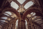 Ruinas de Santa María de Rioseco
Monasterio, Ruinas, Burgos, Rioseco, Castilla y Leon, arquitectura