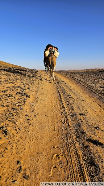 Rumbo a Merzouga.
Rumbo a Merzouga.
