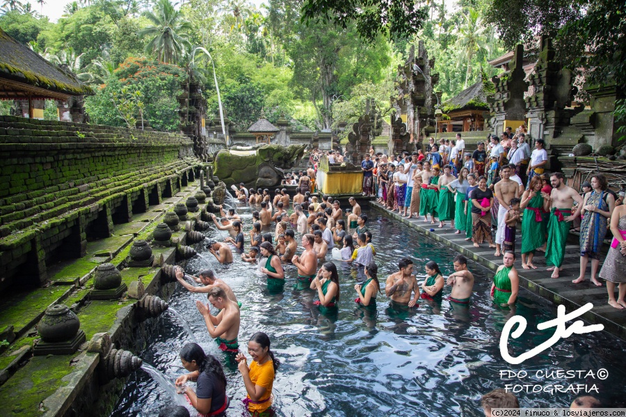 Alrededores de Ubud (2) - Por fin Dubái, Bali y Camboya (Angkor), en construcción (2)