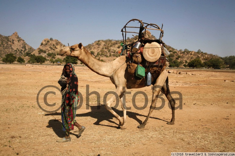 Travel to  Chad - Nomadas
