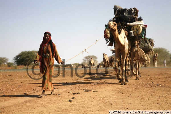 Nomadas en en Ennedi
Pastores nomadas en carvana en el Ennedi
