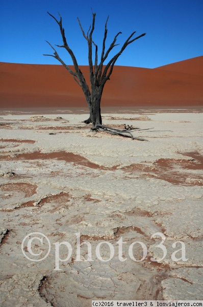 Dead vlei
Arbol en Dead vlei
