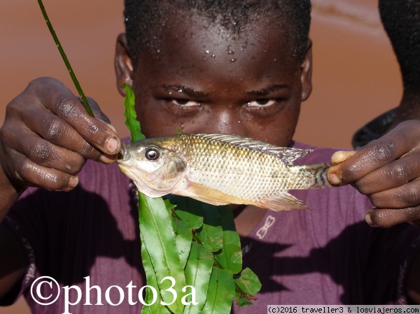 Pigmeo pescando
Pigmemo Baka mostrando su pesca recién cogida.
