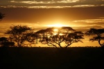 Sunset in Serengueti