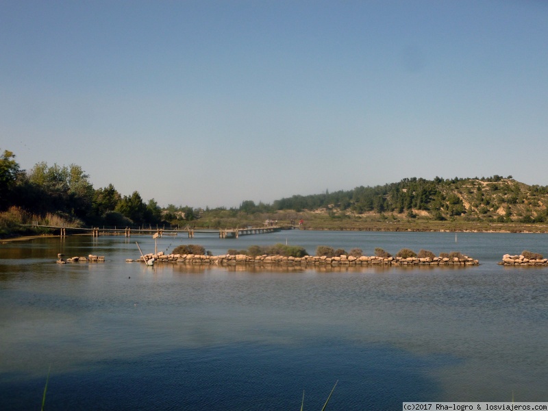 Domingo: Abadía de Fontfroide, Narbona: - Recorrido viaje a Francia, región de Languedoc (Castillos Cátaros) 5 Dias (5)