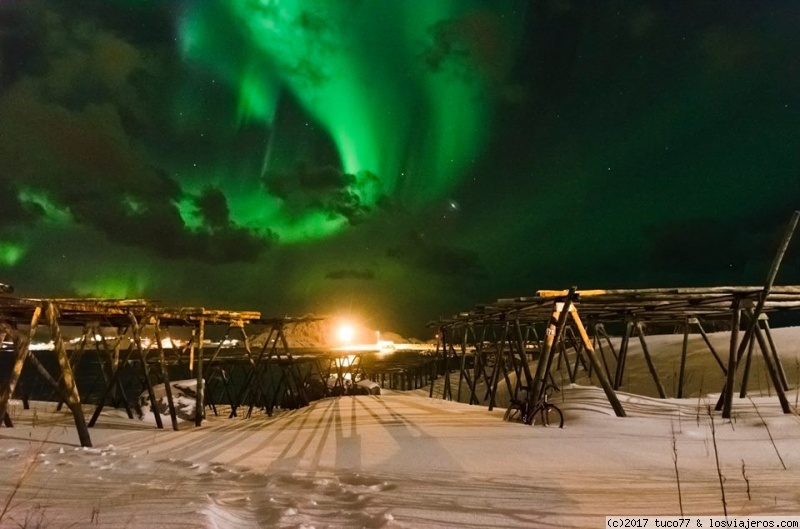 Foro de Islas Lofoten: Aurora en Reine, Lofoten, Noruega