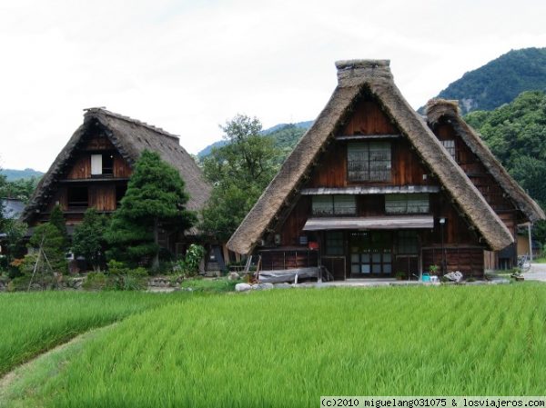 Shirakawago
Pueblo típico de los Alpes japoneses, en el que las casas tienen el techo de paja en forma de manos cruzadas para rezar (gassho zukuri)
