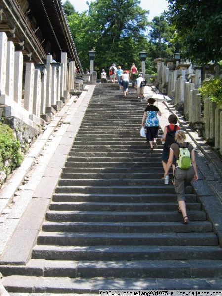 Subiendo al templo Kasuga Taisha
¡Vaya montón de escaleras!
