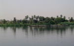 Palmeral del Nilo