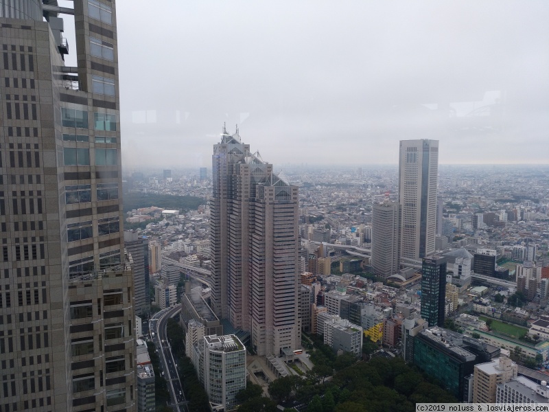 Tokyo, luces y templos... y lluvia - Viaje de dos semanas por Japón (5)