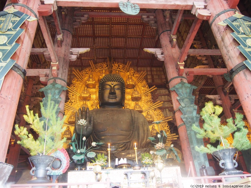 Llegada y traslado a Kyoto y Nara - Viaje de dos semanas por Japón (6)