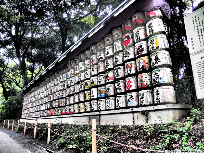 Viaje de dos semanas por Japón - Blogs de Japon - Tokyo, luces y templos... y lluvia (3)