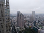 vista desde el gobierno  metropolitano
vista, desde, gobierno, metropolitano, mirador, gratuito