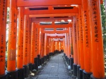 fushimi inari
fushimi, inari, camino, principal, templo