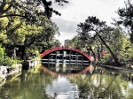 puente del santuario taisha
puente, santuario, taisha, imagen, madera, dentro