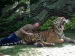 tiger kingdom
tigre miedo tailandia
