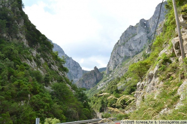 Cantabria en 6 días - Blogs de España - Las etapas (16)