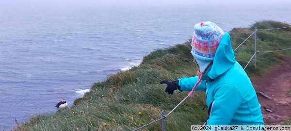 Látrabjarg2
Látrabjarg2
