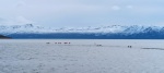 Lago Argentino, Calafate
Lago, Argentino, Calafate