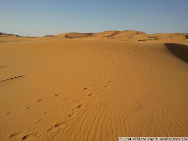 Dunas de Merzouga
El inicio del Sáhara. Aunque un poco 
