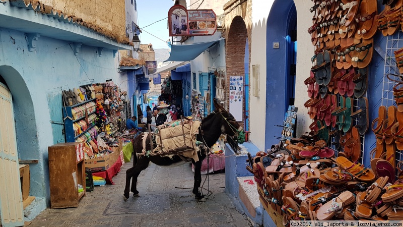 Viernes 15 de septiembre - Tánger - Chefchouen - Marruecos durante 13 días, con la agencia -Viajes Marruecos 4x4- (Sept. 2017) (6)