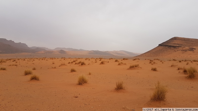 Viernes 22 de septiembre - Desierto de Zagora - Ramlia - Desierto de Merzouga - Marruecos durante 13 días, con la agencia -Viajes Marruecos 4x4- (Sept. 2017) (2)