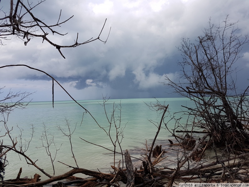 Viernes 27 de Abril - Cayo Levisa - 13 maravillosos días recorriendo Cuba de la mano de Alberto Padrón (Mayo 2018) (6)