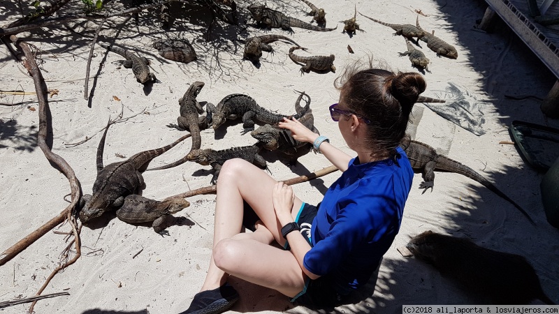 13 maravillosos días recorriendo Cuba de la mano de Alberto Padrón (Mayo 2018) - Blogs de Cuba - Viernes 4 de Mayo - Cayo Iguana (1)