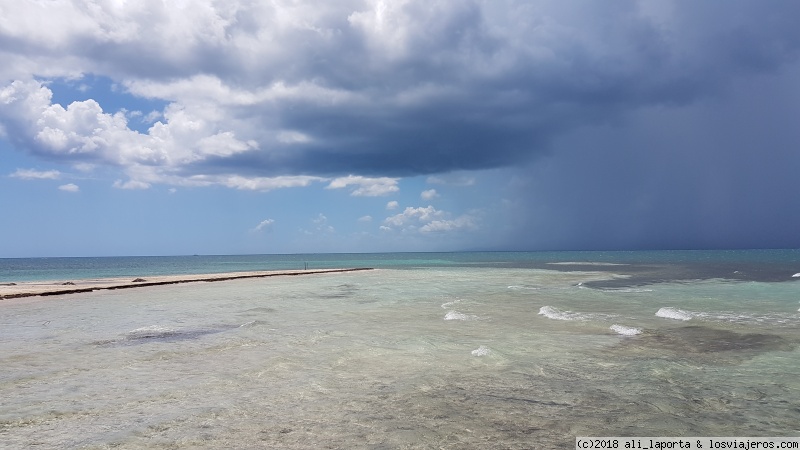 13 maravillosos días recorriendo Cuba de la mano de Alberto Padrón (Mayo 2018) - Blogs de Cuba - Viernes 4 de Mayo - Cayo Iguana (5)