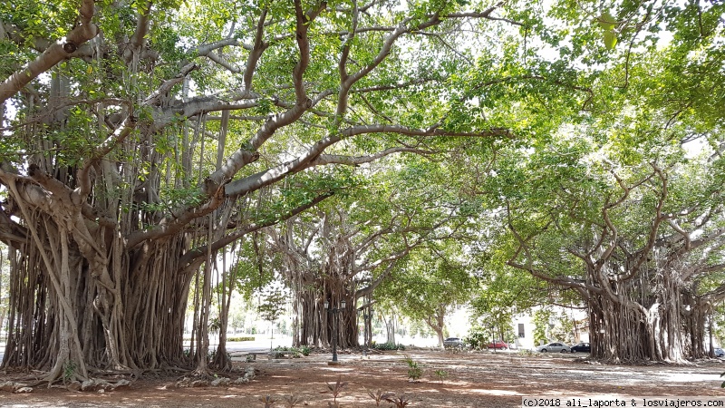 Domingo 6 de Mayo  - La Habana Nueva - 13 maravillosos días recorriendo Cuba de la mano de Alberto Padrón (Mayo 2018) (1)