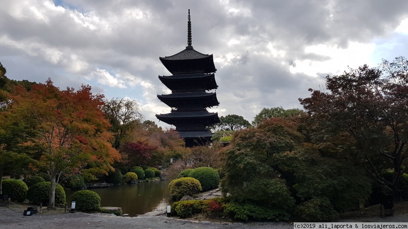 Jueves 14 de Noviembre - Kioto + Fushimi Inari - 16 días de ensueño en Japón descubriendo el momiji (Nov. 2019) (1)