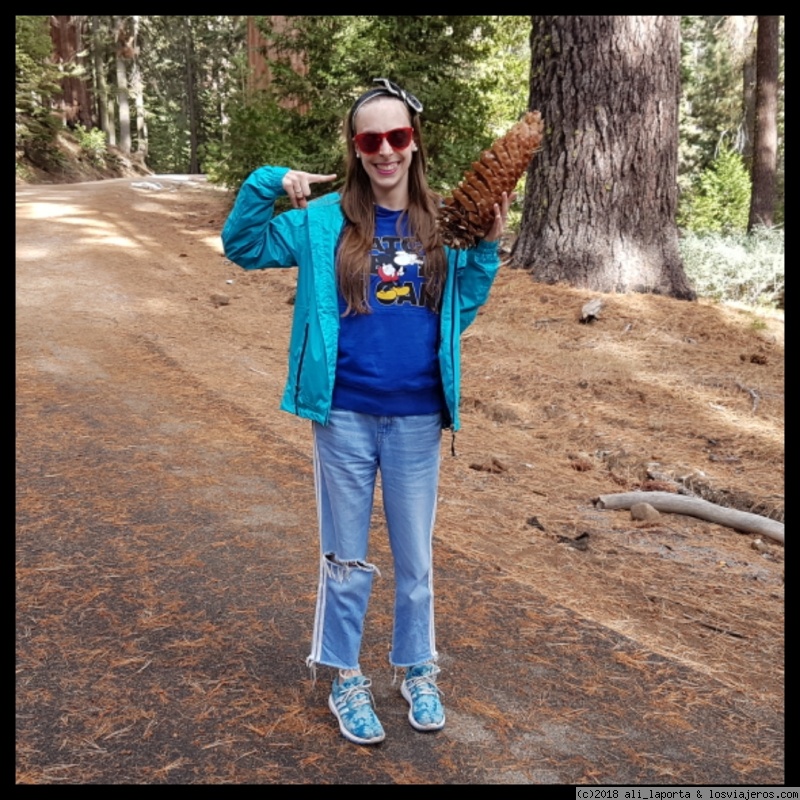 Martes 2 de Octubre - Yosemite - 26 días de ensueño por la Costa Oeste de USA (Septiembre - Octubre 2018) (4)