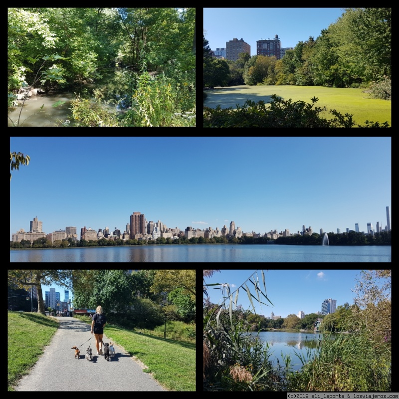 10 maravillosos días de contrastes recorriendo Nueva York (Septiembre 2019) - Blogs de USA - Domingo 15 de Septiembre - Gospel + Harlem + Central Park (N) + Harbor Lights (2)