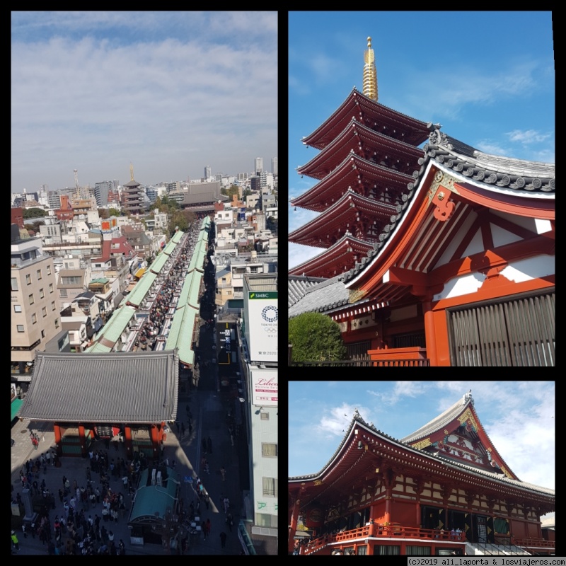 Jueves 7 de Noviembre - Tokio - 16 días de ensueño en Japón descubriendo el momiji (Nov. 2019) (1)