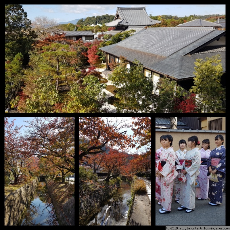 Viernes 15 de Noviembre - Kioto - 16 días de ensueño en Japón descubriendo el momiji (Nov. 2019) (2)