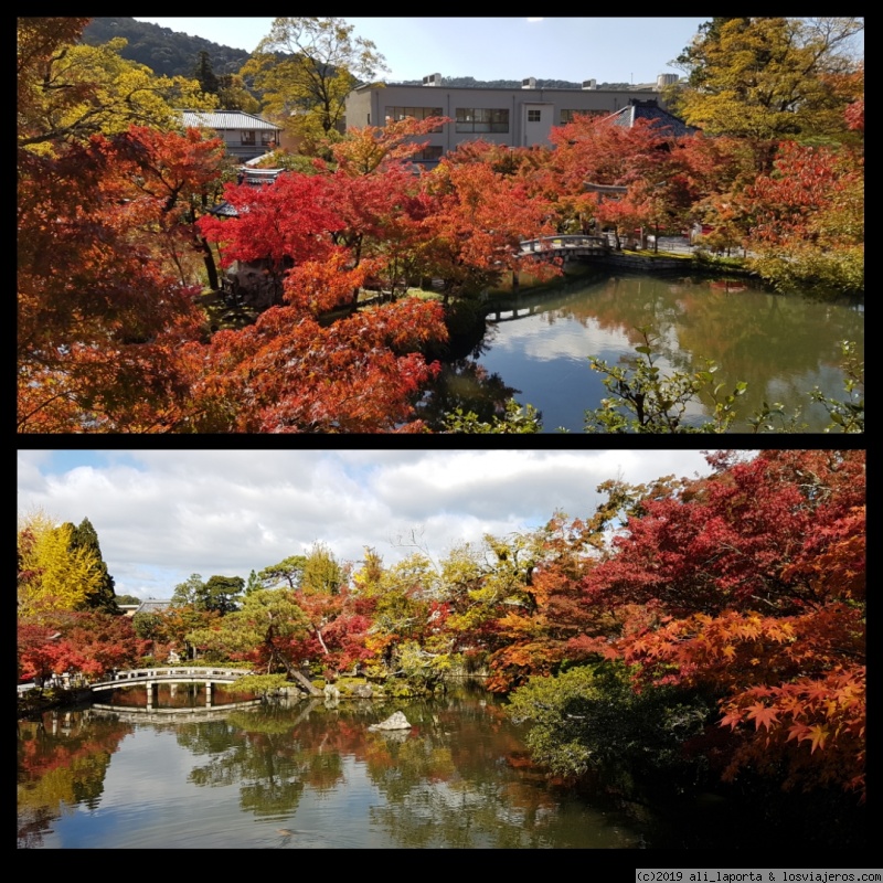 Viernes 15 de Noviembre - Kioto - 16 días de ensueño en Japón descubriendo el momiji (Nov. 2019) (3)