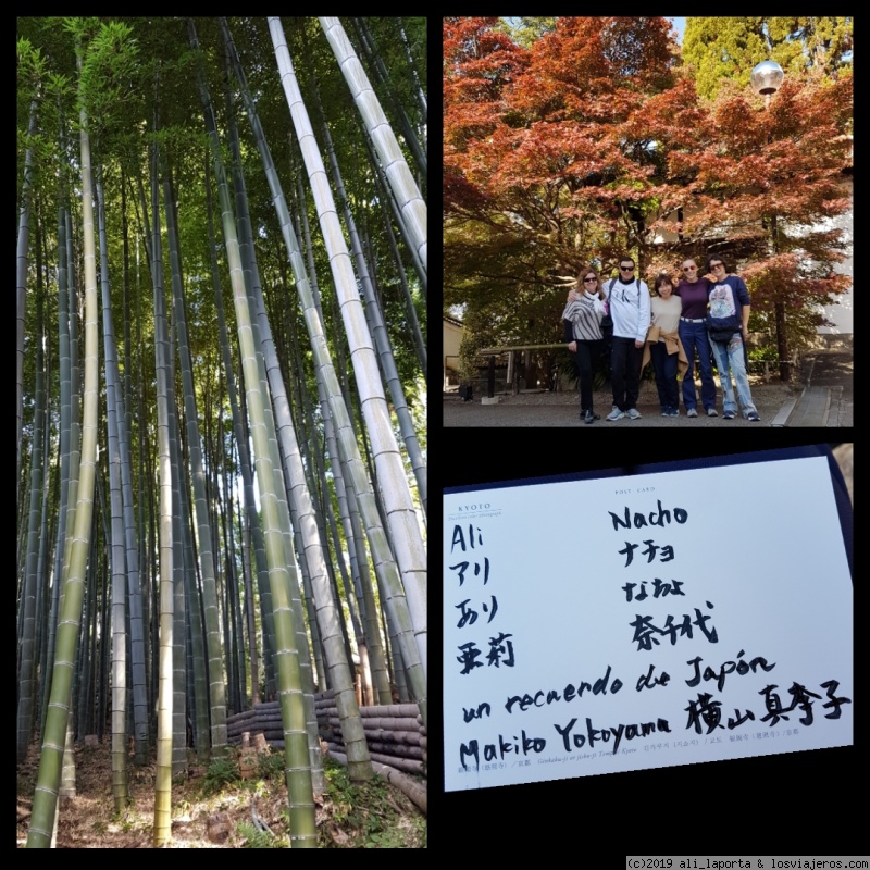 Viernes 15 de Noviembre - Kioto - 16 días de ensueño en Japón descubriendo el momiji (Nov. 2019) (4)
