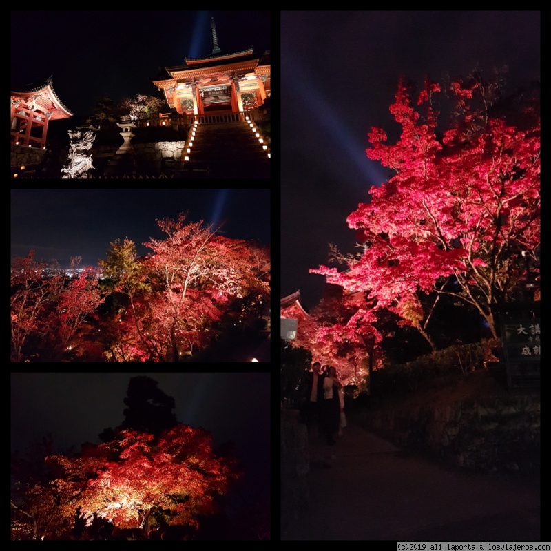 Domingo 17 de Noviembre - Nara + Kioto - 16 días de ensueño en Japón descubriendo el momiji (Nov. 2019) (4)