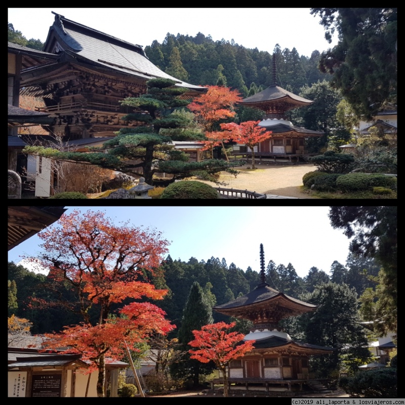 Lunes 18 de Noviembre - Koyasan (MEJOR DÍA DE TODO EL VIAJE) - 16 días de ensueño en Japón descubriendo el momiji (Nov. 2019) (1)