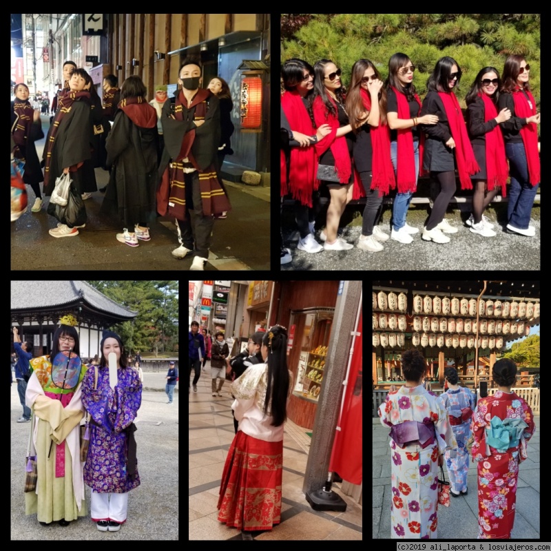16 días de ensueño en Japón descubriendo el momiji (Nov. 2019) - Blogs de Japon - Opinión personal, presupuesto final y datos de interés (4)