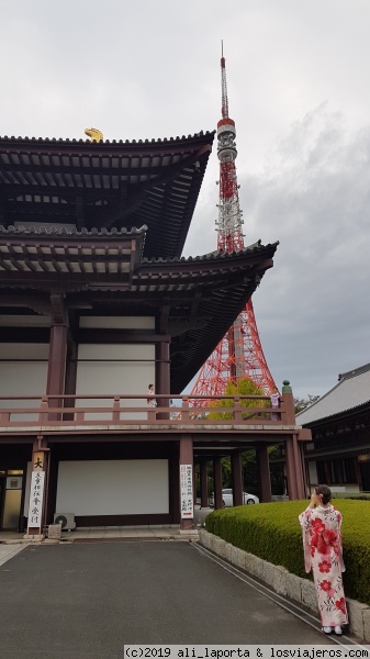 Tokio Primavera: Cerezos en flor, fortuna, deporte (virtual) - Hana Biyori - Jardín digital, Tokio (Japón) ✈️ Forum Japan and Korea