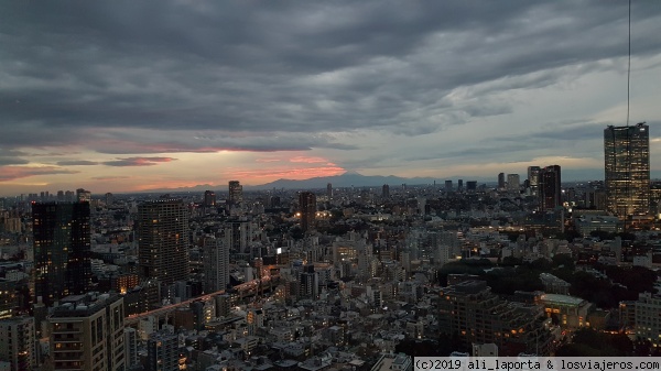Propuestas de Ocio Nocturno en Tokio - Japón - Oficina de Turismo de Tokio - Información actualizada - Forum Japan and Korea