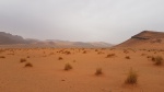 Desierto
Desierto