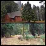 Martes 2 de Octubre - Yosemite