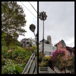 Filbert Street Stairs