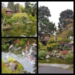 Japanese Tea Garden