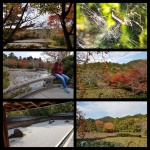 Templo Ryoan-ji