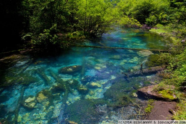 5-Agosto_Parque de Jiuzhaigou - 17 días en por el Centro- Suroeste de China. Con parada en Dubai y Hong Kong (5)