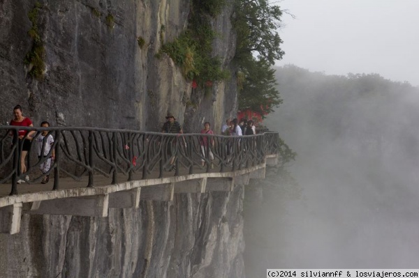 Tianmen Mountain National Park
Pasarelas del Parque. Senderos
