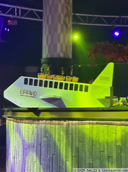 El avión de Bravo
El avión de Bravo
